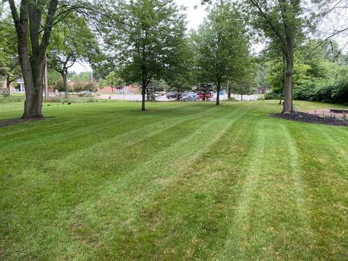  for BTD Lawn Care and Property Services in Midland, MI