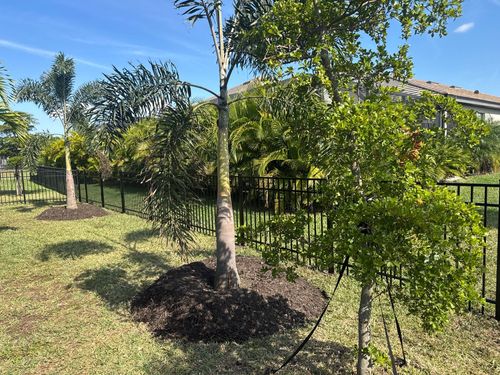 Fence Installation for ASAP Fence & Gates - Central, FL in Leesburg, FL