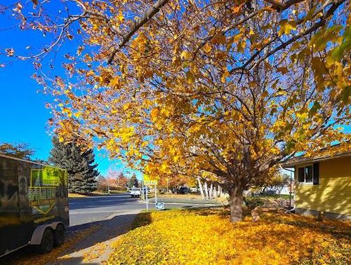  for Eagle Bay Lawn & Landscape LLC in Helena, MT