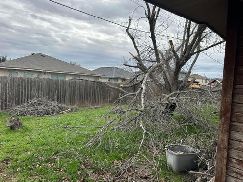 Mowing for Allen Lawn Care in Taylor, Texas