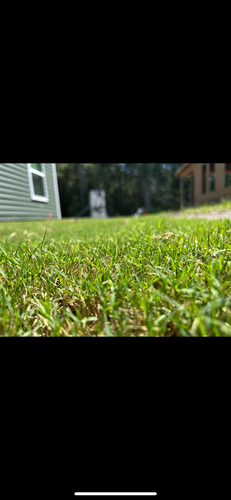 All Photos for New Creation Landscaping in Myrtle Beach, SC