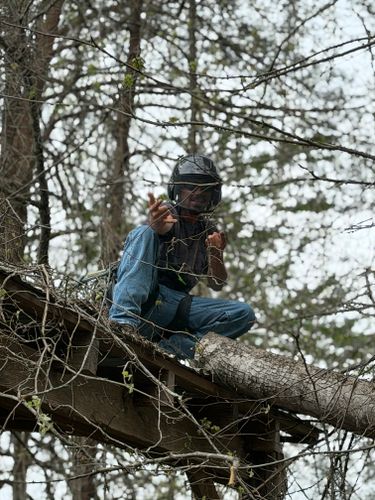 All Photos for Ramirez Tree Care in Elkin, NC