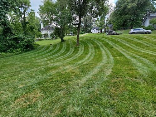  for The Grass Guys™ in Evansville, IN