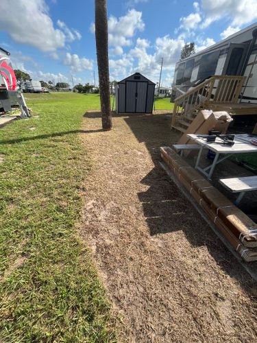 Tree Services for Ludlows Services in Clermont, FL