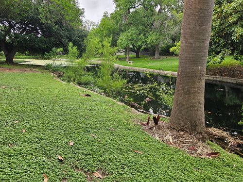 Mowing for Miller Mowing and Maintenance in San Antonio, TX