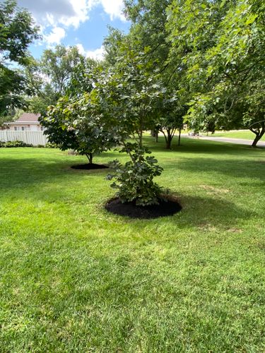 Mulching for Castle JR Landscaping & Painting LLC in Cincinnati, OH