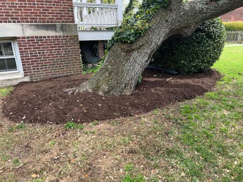 Fall and Spring Clean Up for Eddie’s Lawn Care in Chesapeake, VA