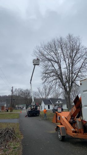 Tree Removal for Atwood’s Tree Care in Liberty,  KY