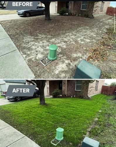 Winter green lawn package for North Texas Groundscaping in Frisco, TX