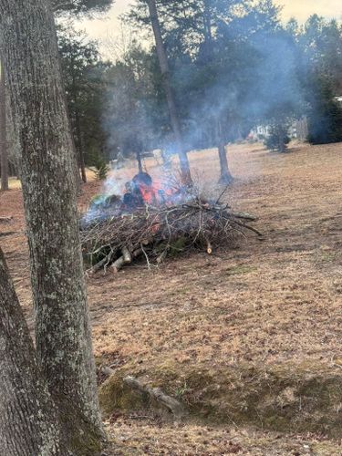  for Diversified Tree Company in Trinity, NC