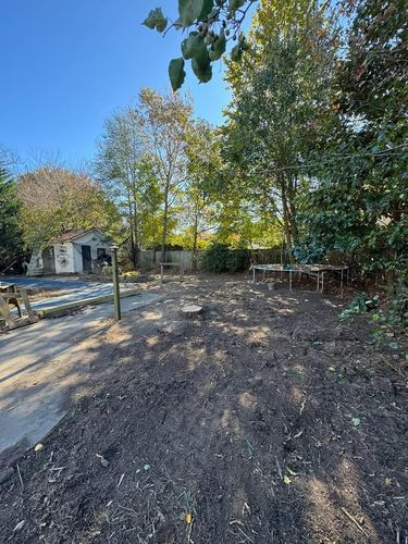 All Photos for Cowboys TREE Company in Chesapeake, VA