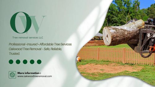  for Oakwood Tree Removal LLC in Oak Creek,  WI