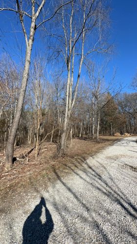 Grading for Travis Excavating in Olney,, IL