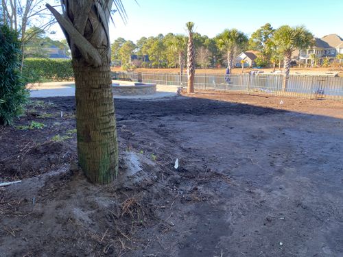 All Photos for New Creation Landscaping in Myrtle Beach, SC