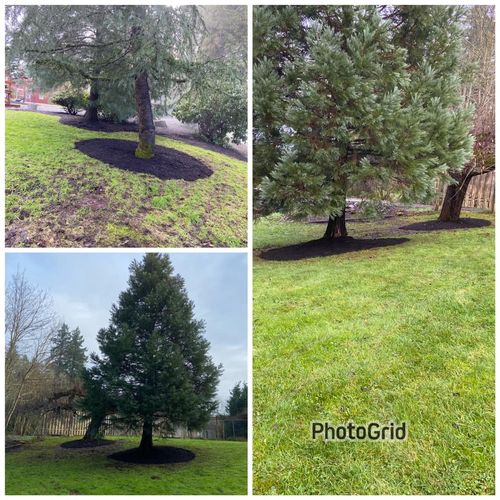  for Orange Landscape in Woodburn, OR