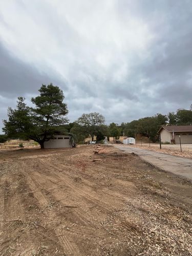 Tree Removal for A1 Junk & Tree Solutions, LLC in Paso Robles, CA