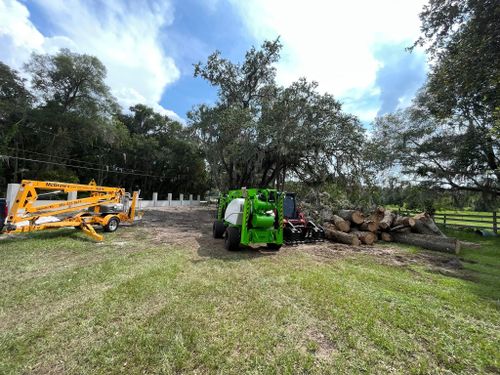 Tree Removal for McGraw’s Lawn and Tree Service in DeLand, FL