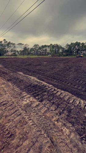 Site Preparation for B&B Dirt Works LLC in Century, FL