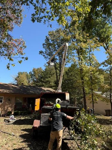  for H n H Tree Service in Taneyville, MO