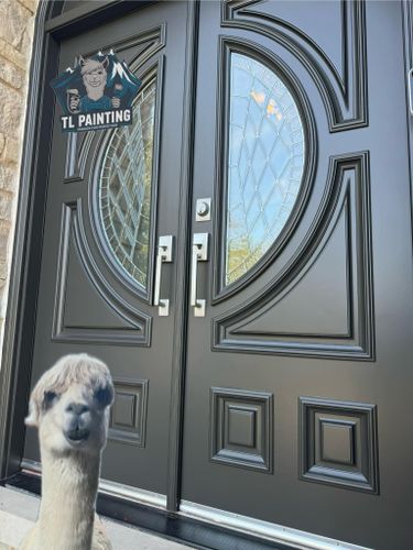  for TL Painting in Joliet, IL