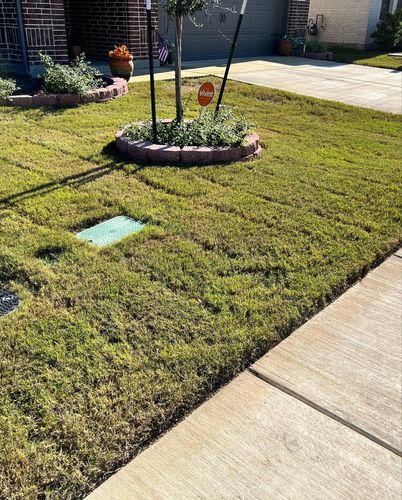 Sod Installation for CS LawnCare  in San Antonio,  TX