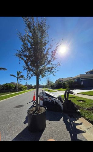 Tree Planting & Landscape Services for TREE BOYS in Ruskin, FL