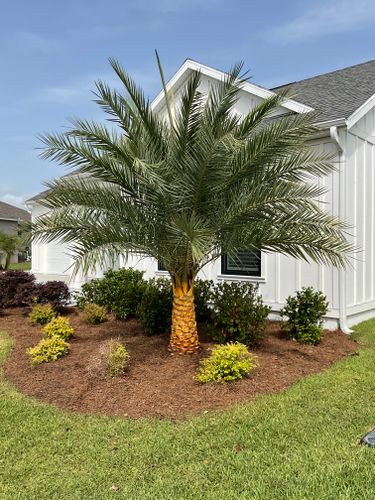  for Top Quality Hardscapes in Wildwood, FL