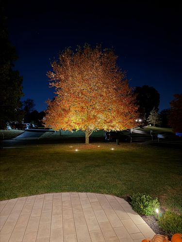 All Photos for Unique Outdoor Lighting in Short Hills, NJ