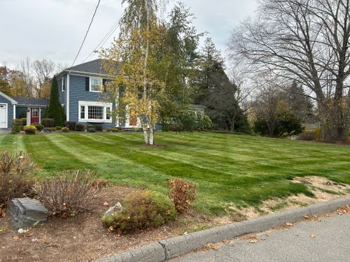 Shrub Trimming for CM and Sons Landscaping in Benton, ME