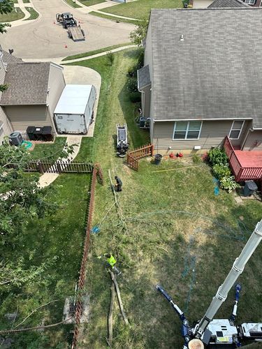 Tree Removal for Pro Tree Trim & Removal, Llc in Dayton, OH