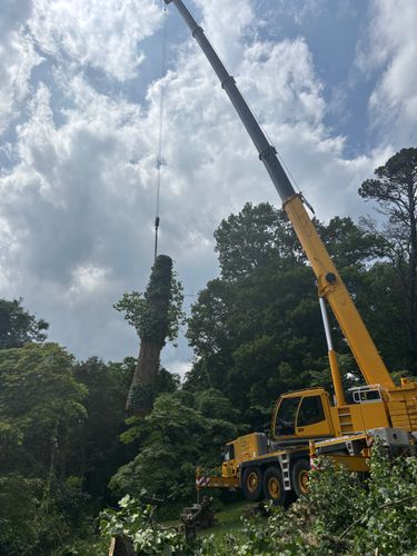 Trackhoe Work for Andy's Tree Service in Zirconia, NC