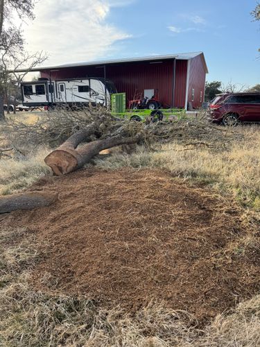Tree Stump Grinding for Oakley’s Stump ‘N Grind in Leander, TX