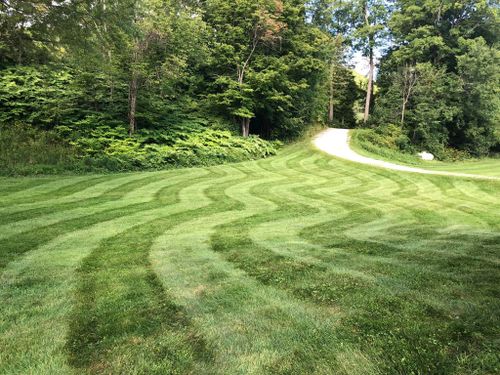  for Levi Allen Lawn Care in Rutland County, VT