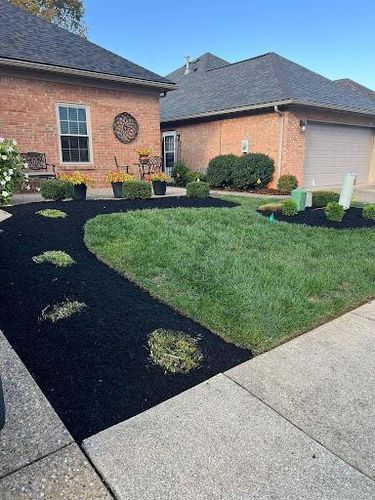  for Full Service Landscaping in Louisville, KY