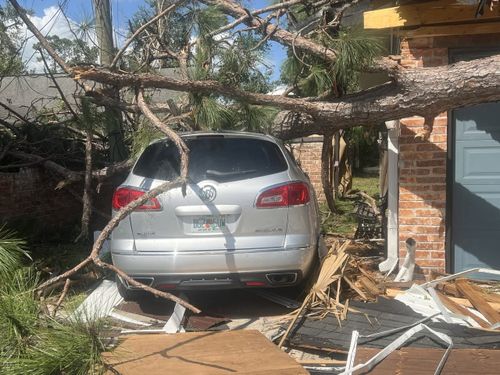 Immediate Response Tree work for storm damage for TREE BOYS in Ruskin, FL