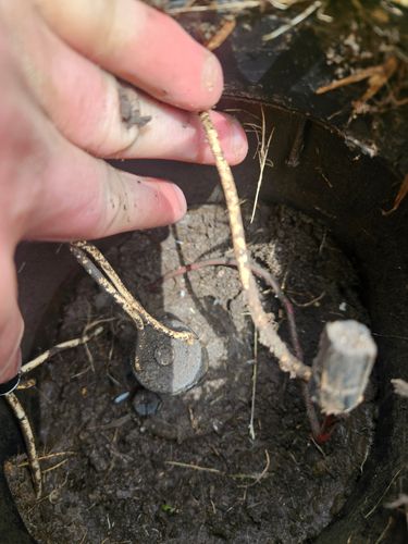 Sprinkler Leak and Electrical Repair for Keen Precision Irrigation in Justin, TX