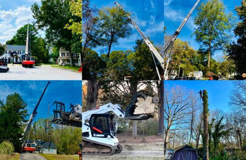  for Advanced Tree Pros & Landscape in Raleigh, NC