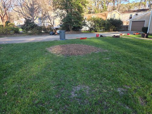 All Photos for Green Brothers Tree Services in Blacksburg, VA