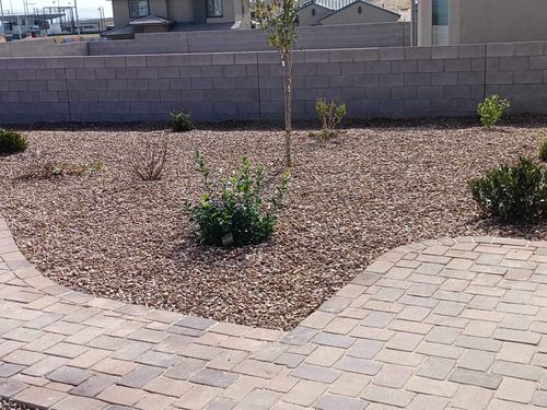 Landscaping for MPB Construction LLC in Albuquerque, NM