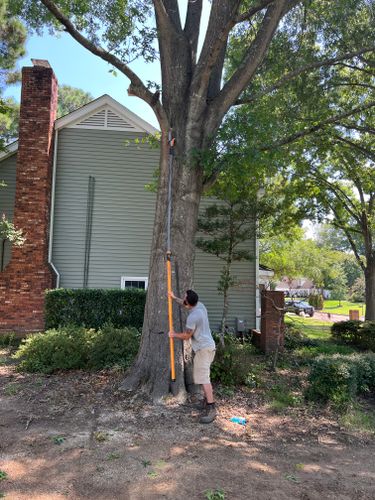 Residential Landscaping for Emory's Garden Landscape Emporium in Memphis,  TN