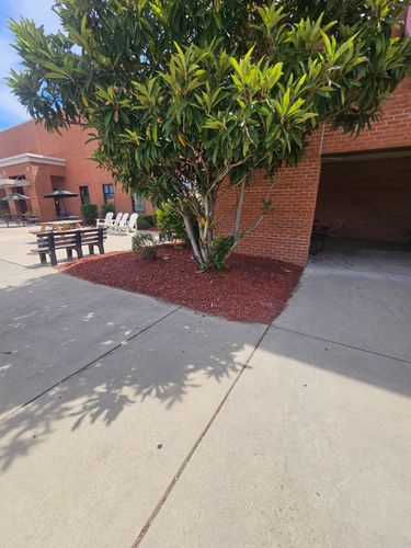 Landscape Design for Trinity Landscapes  in Lumberton, NC