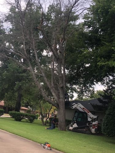 Tree Removal for Tree2Tree Tree Service in Sherman, Texas