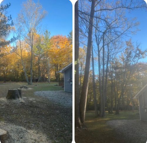  for McBee’s Tree Service in Sewanee, TN