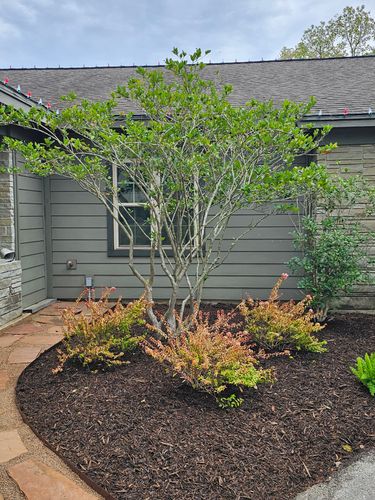 Mulch Installation for Bruno's Professional Lawn's & Landscape in Beaumont, TX