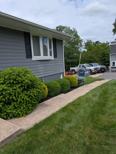 Privacy Plantings for Ettere Landscape Services in Flemington, NJ