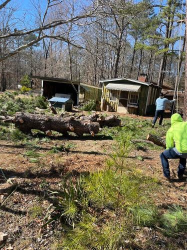 Tree Removal for Rosales Landscaping LLC in Lake Gaston, North Carolina