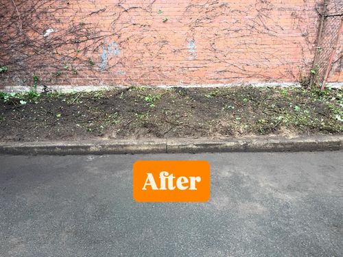 Fall Clean Up for B&L Management LLC in East Windsor, CT