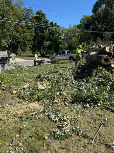 Seasonal Clean Up for Titan Landscaping in Rosemount, MN