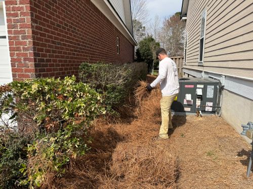 Landscaping  for Myles Mows in Augusta, GA