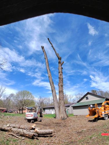 Stump Removal for Lovenguth Logging and Tree Service in West Monroe, NY